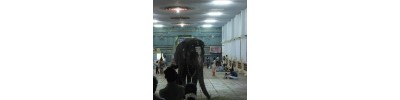 திருக்கடவூர் - தமிழ்நாடு